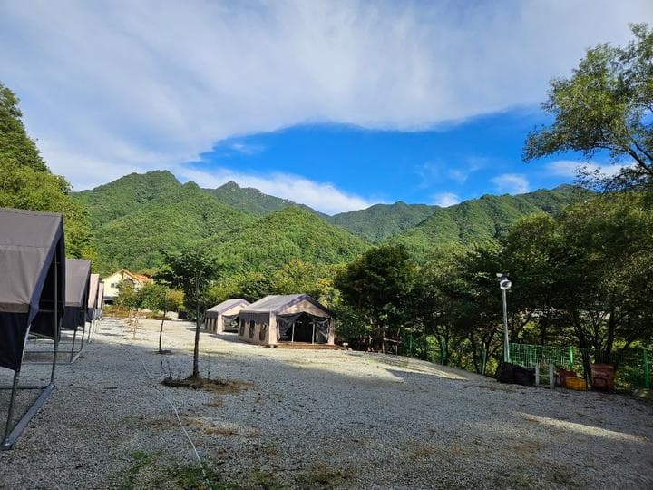 월성자연캠핑야영장 캠핑장 · GoCamping 제공