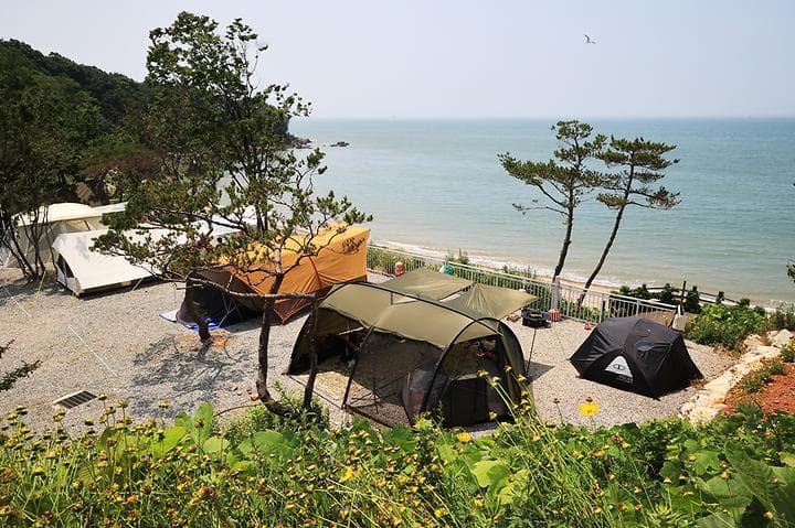 영흥도어울림캠핑장 캠핑장 · GoCamping 제공