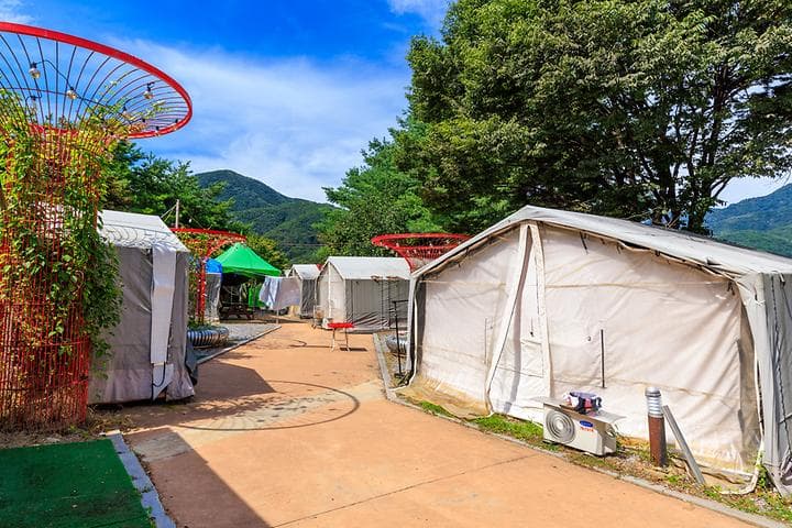 젠틀펫 파라다이스 캠핑장 · GoCamping 제공