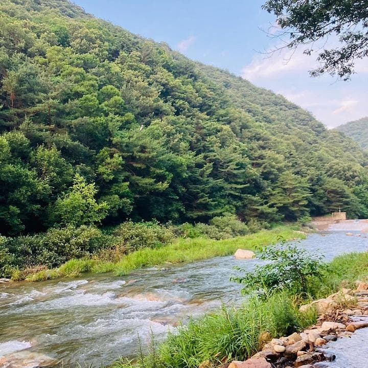 노문 야영장 캠핑장 · GoCamping 제공
