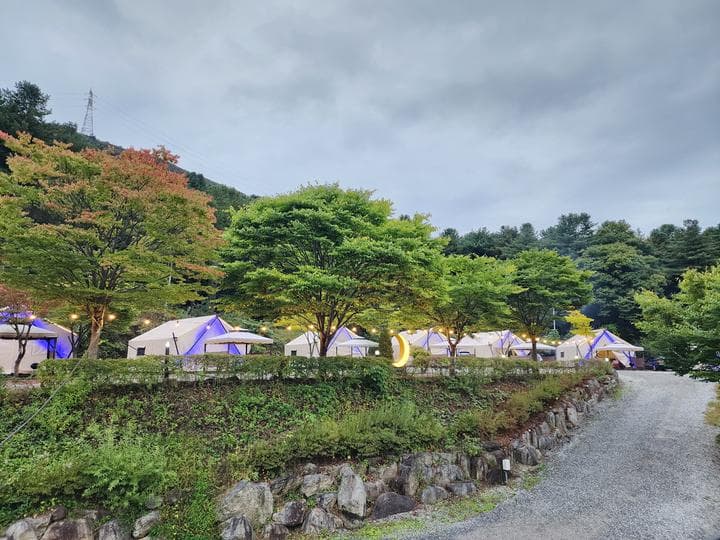 달빛정원글램핑&카라반 캠핑장 · GoCamping 제공
