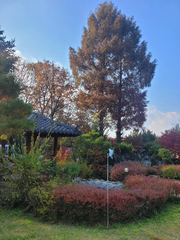 금산만악리수목원 오토캠핑장 캠핑장 · GoCamping 제공