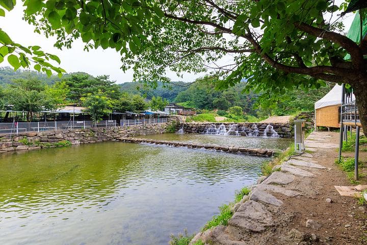 팔공 쉼터 야영장 캠핑장 · GoCamping 제공