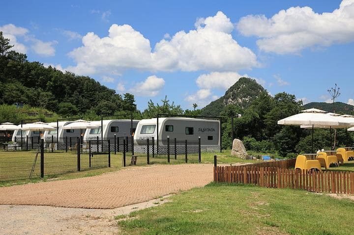 캐닌힐포레스트 캠핑장 · GoCamping 제공