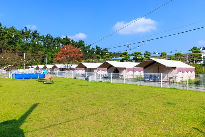 펫앤트리 캠핑장 · GoCamping 제공