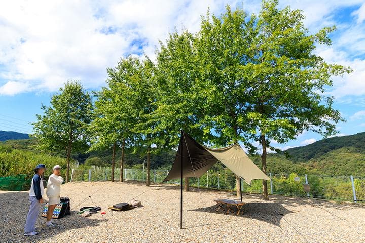 월명숲 캠핑장 · GoCamping 제공