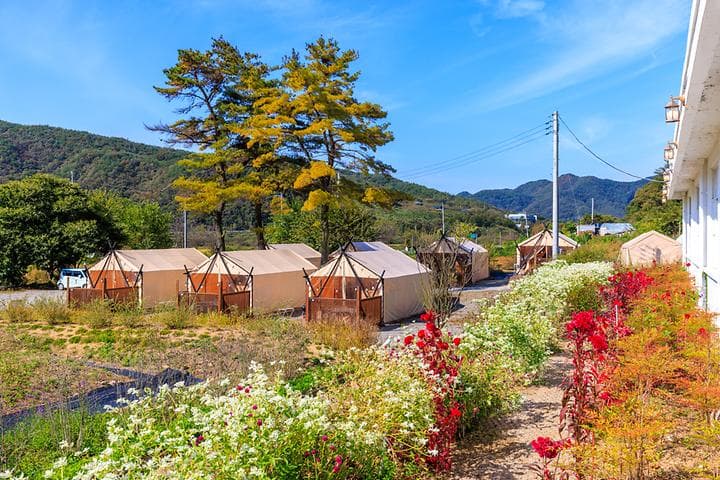 일상화 글램핑 캠핑장 · GoCamping 제공