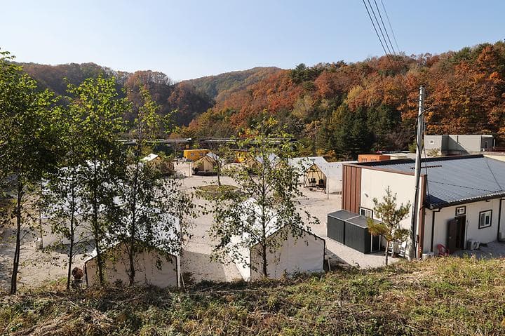호랑이캠핑 캠핑장 · GoCamping 제공