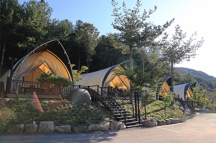 금옥골 숲속작은마을 캠핑장 · GoCamping 제공