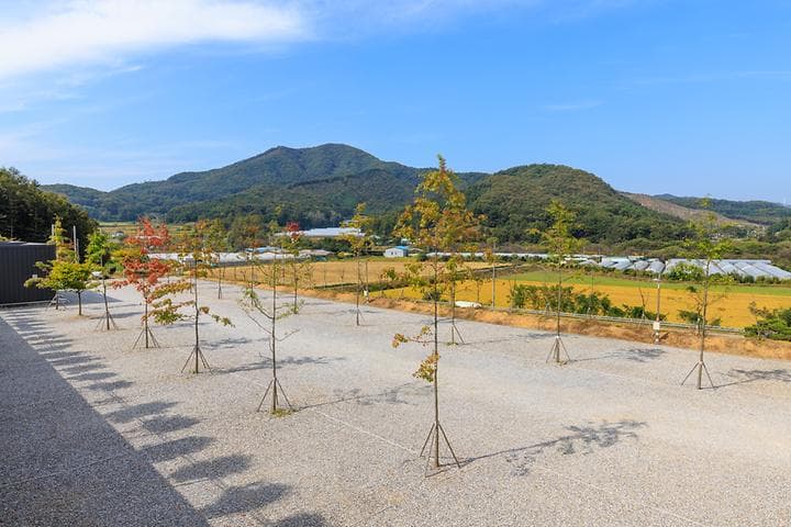진천포레스트캠핑장 캠핑장 · GoCamping 제공