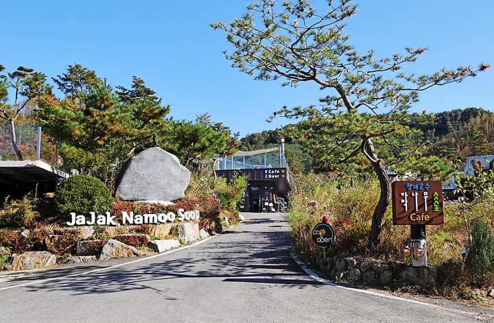 청계호수 자작나무숲 캠핑장 캠핑장 · GoCamping 제공