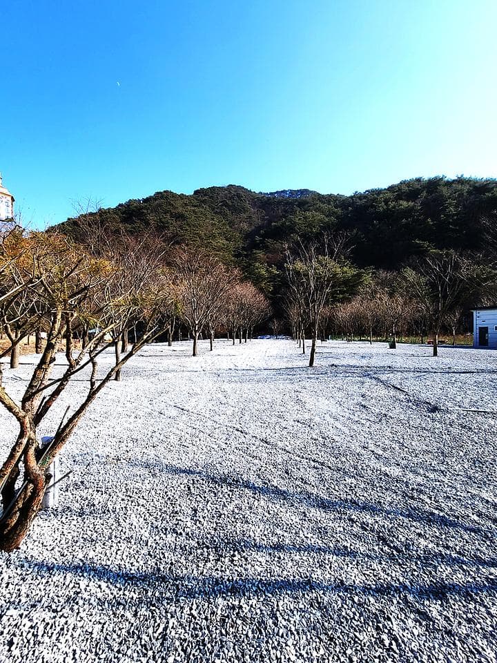 솔내음캠핑장 캠핑장 · GoCamping 제공