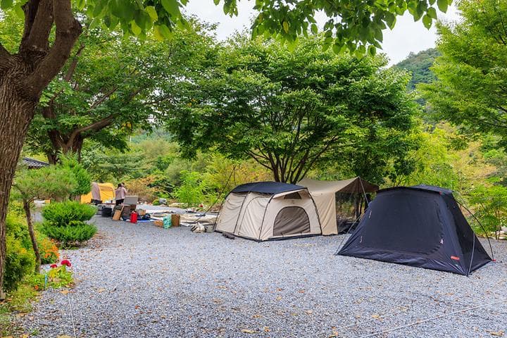 꽃댕이오토캠핑장 캠핑장 · GoCamping 제공