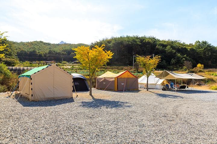 속리산365캠핑장 캠핑장 · GoCamping 제공