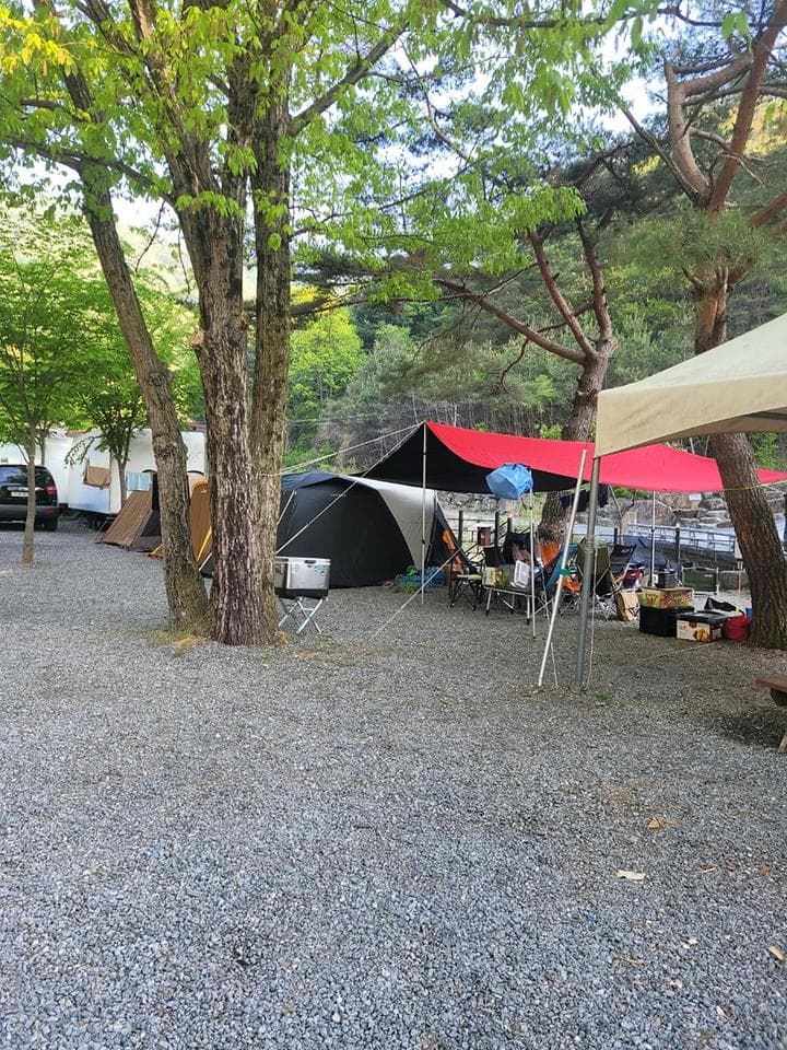 영월 엄둔밸리 계곡캠핑장 캠핑장 · GoCamping 제공