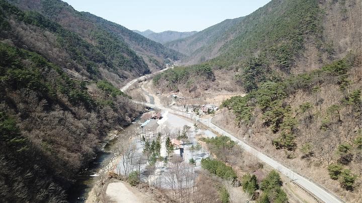 포레스트힐링캠프 캠핑장 · GoCamping 제공