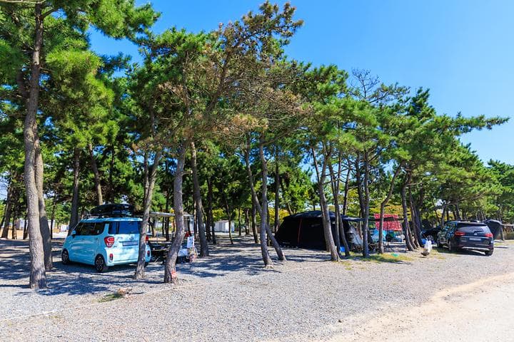 어은돌오토캠핑장 캠핑장 · GoCamping 제공