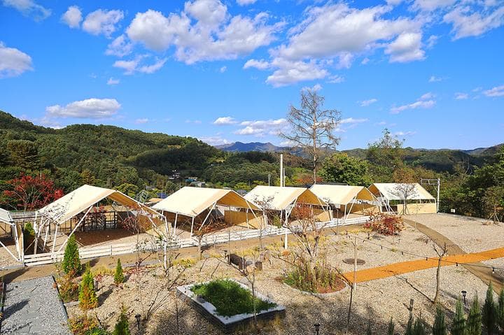 나아정 캠핑장 · GoCamping 제공