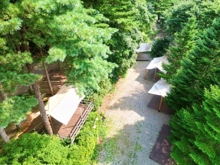 유명산 258 캠핑장 · GoCamping 제공
