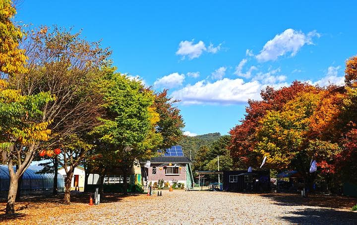 포도밸리 캠핑장 캠핑장 · GoCamping 제공