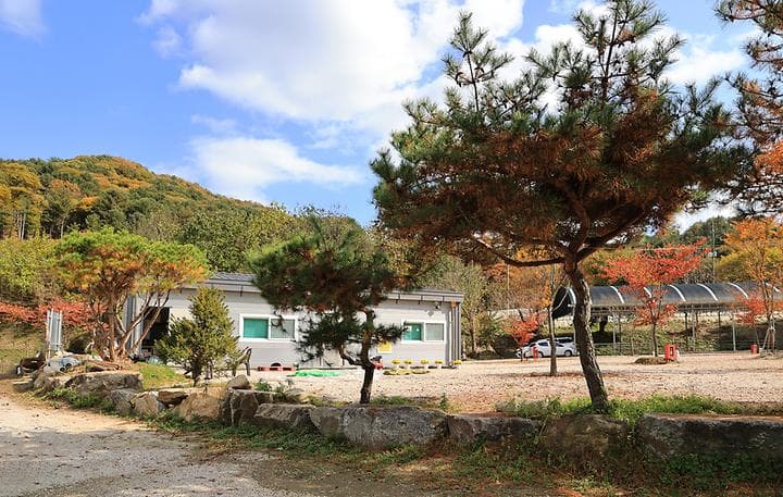 포천그린별캠핑장 캠핑장 · GoCamping 제공