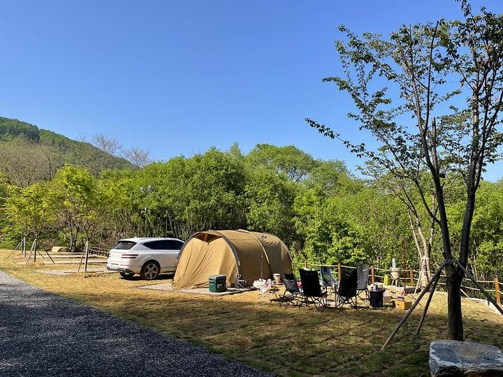 울미숲야영장 캠핑장 · GoCamping 제공