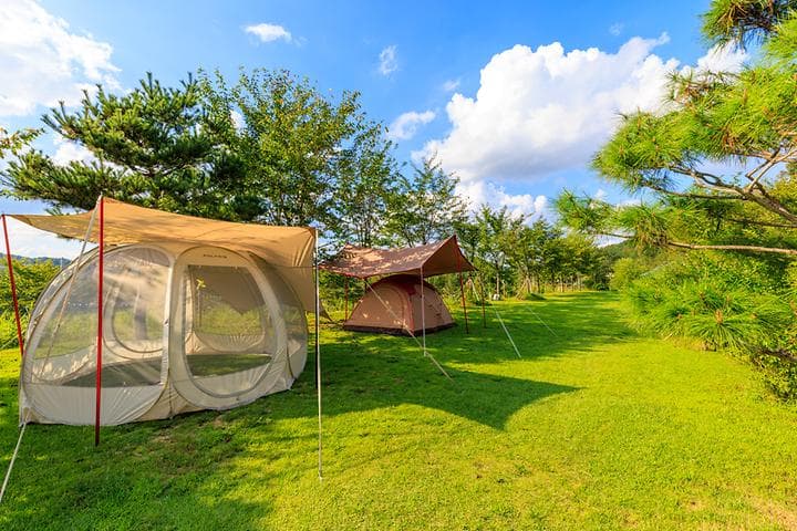 왕산골 관광농원 캠핑장 · GoCamping 제공