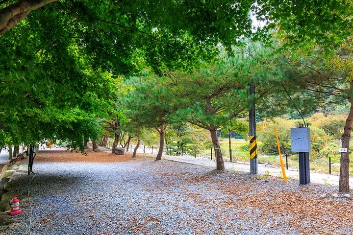 포레스트캐빈앤캠프 캠핑장 · GoCamping 제공