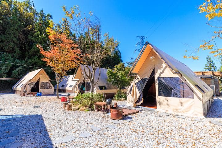 벅스글램핑 캠핑장 · GoCamping 제공