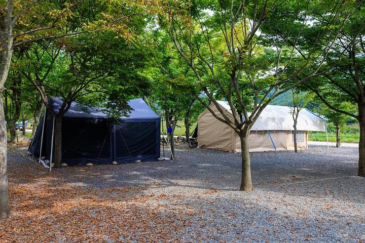 청도 사계절 캠핑장 캠핑장 · GoCamping 제공