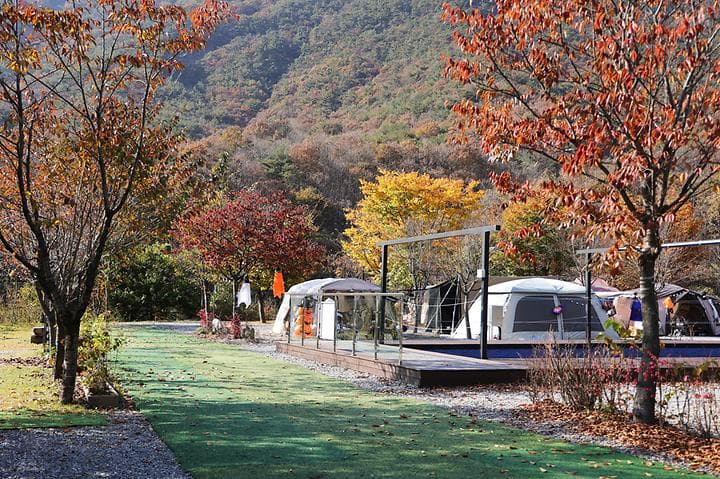 캠프원 캠핑장 · GoCamping 제공