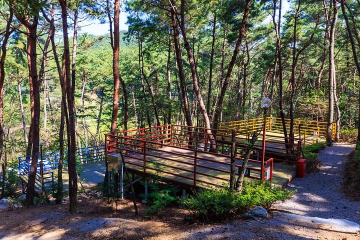 올레유 캠핑장 · GoCamping 제공