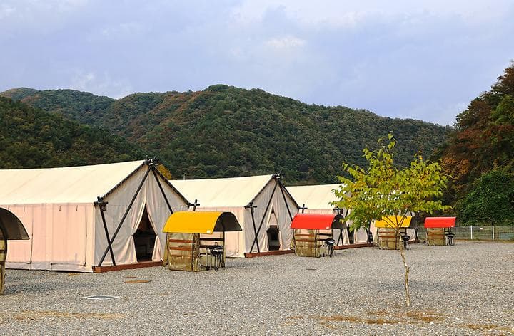 가평자작나무글램핑 캠핑장 · GoCamping 제공