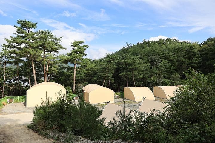 현대야영장 캠핑장 · GoCamping 제공