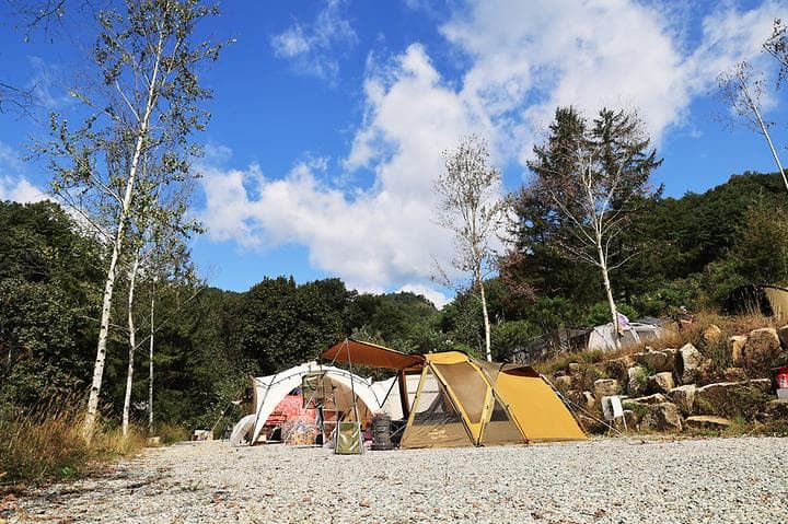 알지캠프266 캠핑장 · GoCamping 제공