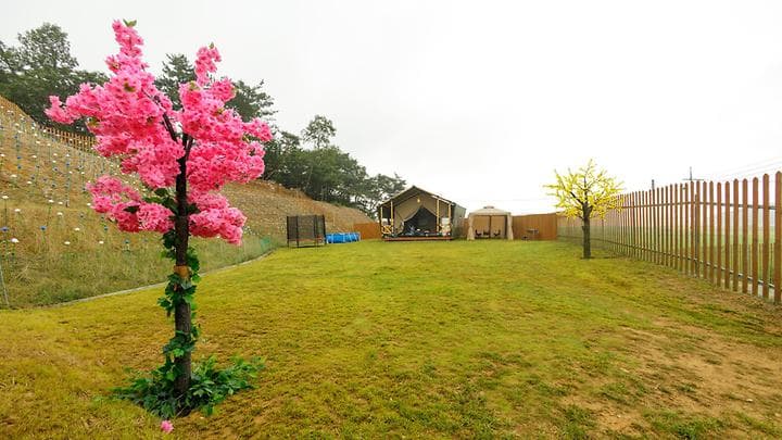 (주)세기(도그팰리스) 캠핑장 · GoCamping 제공