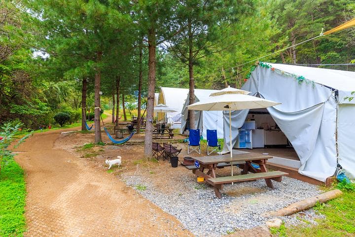 수피아글램핑펜션 캠핑장 · GoCamping 제공