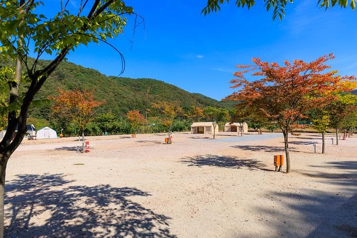 돌고래 오토 캠핑장 캠핑장 · GoCamping 제공