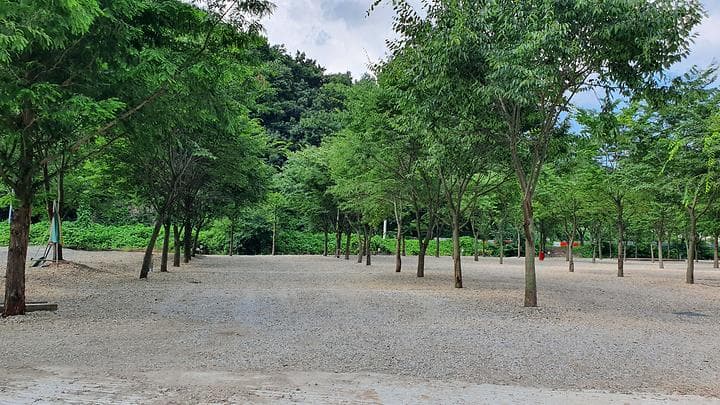 금산 자연 오토캠핑장 캠핑장 · GoCamping 제공