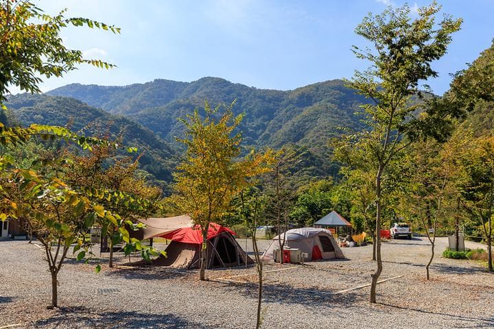 육백고지 캠핑장 캠핑장 · GoCamping 제공