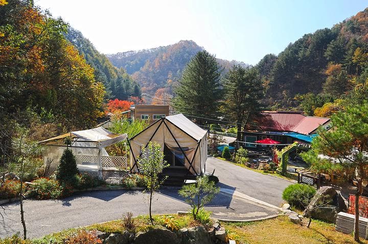 테라스527 캠핑장 캠핑장 · GoCamping 제공