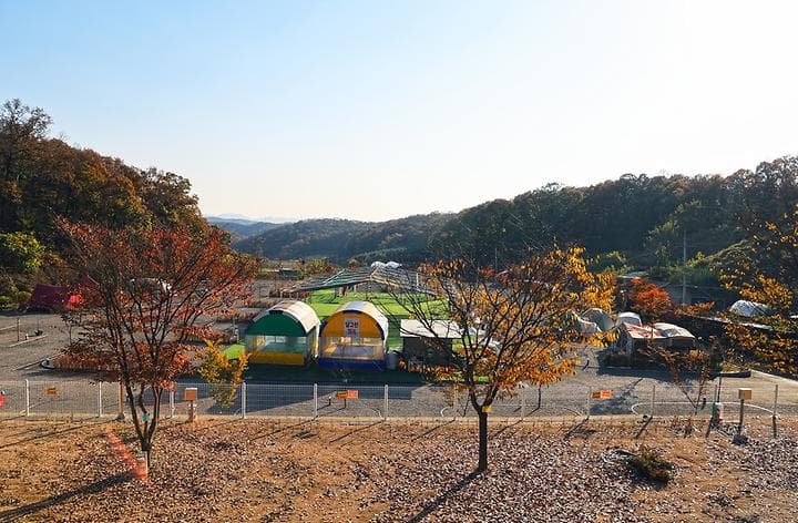 달그린캠프 캠핑장 · GoCamping 제공