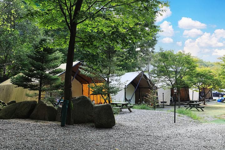 태양힐링숲 캠핑장 · GoCamping 제공