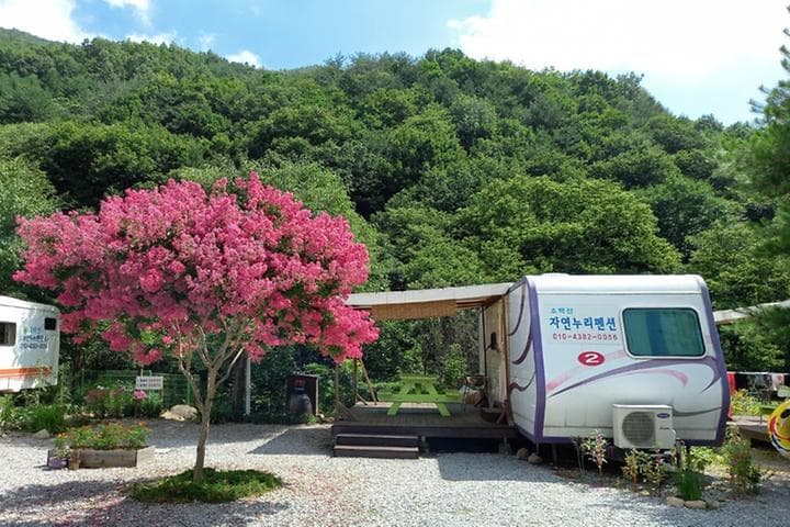 소백산자연누리야영장 캠핑장 · GoCamping 제공