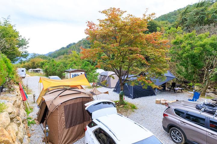 라온밸리캠핑장 캠핑장 · GoCamping 제공