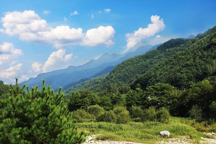 한계산솔밭야영장 캠핑장 · GoCamping 제공