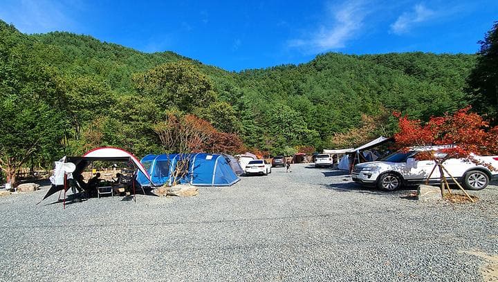 279캠핑장 캠핑장 · GoCamping 제공