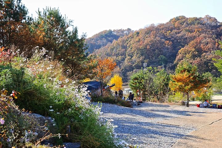 라곰 캠핑장 · GoCamping 제공