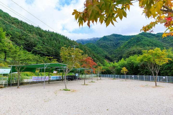 영동 한울 캠핑장 캠핑장 · GoCamping 제공