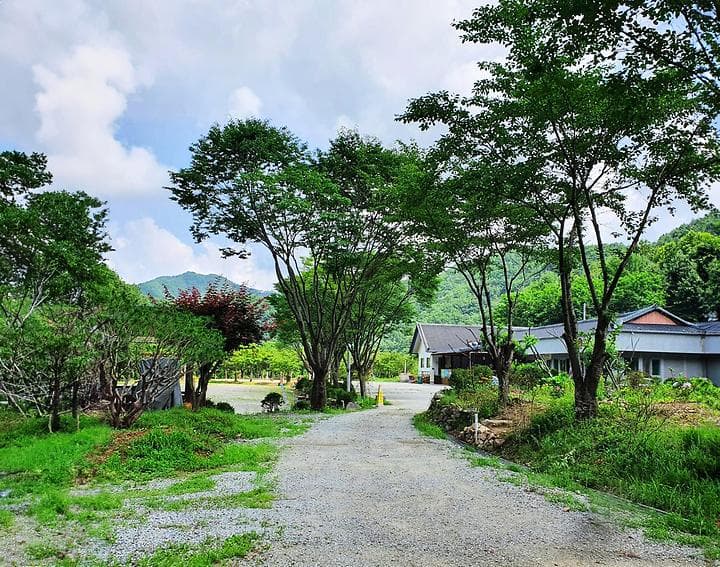 강원 홍천 알프스밸리 캠핑나라 글램독 캠핑장 · GoCamping 제공